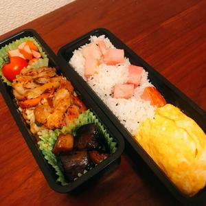 お弁当を作ってきています！