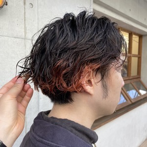 セクションカラー