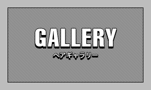 GALLERY / ヘアギャラリー